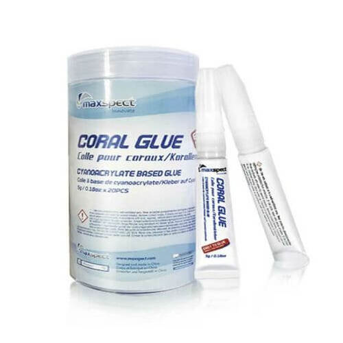 Maxspect Coral Glue Jar 5g